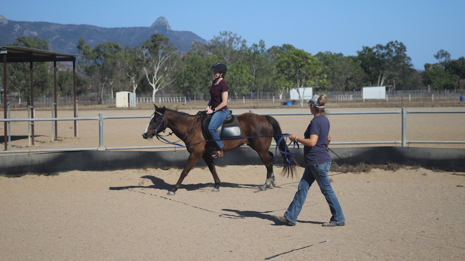 Tania walking a bay horse on a lunge line with a rider in the saddle, in a sand arena with dry hills and gum trees behind