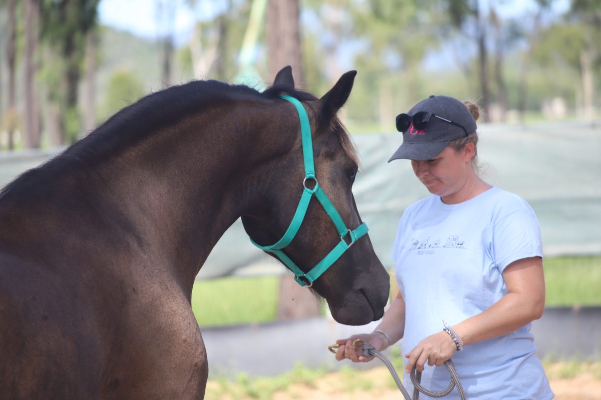 Tania Greenwood standing with her horse Zed, gathering the lead rope as he stands beside her