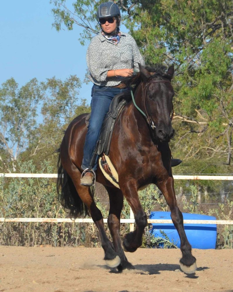 Tania Greenwood riding her horse Zed in an arena
